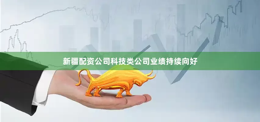 新疆配资公司科技类公司业绩持续向好