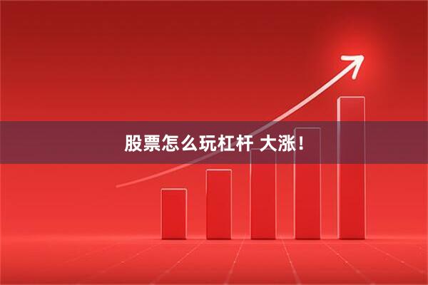股票怎么玩杠杆 大涨！
